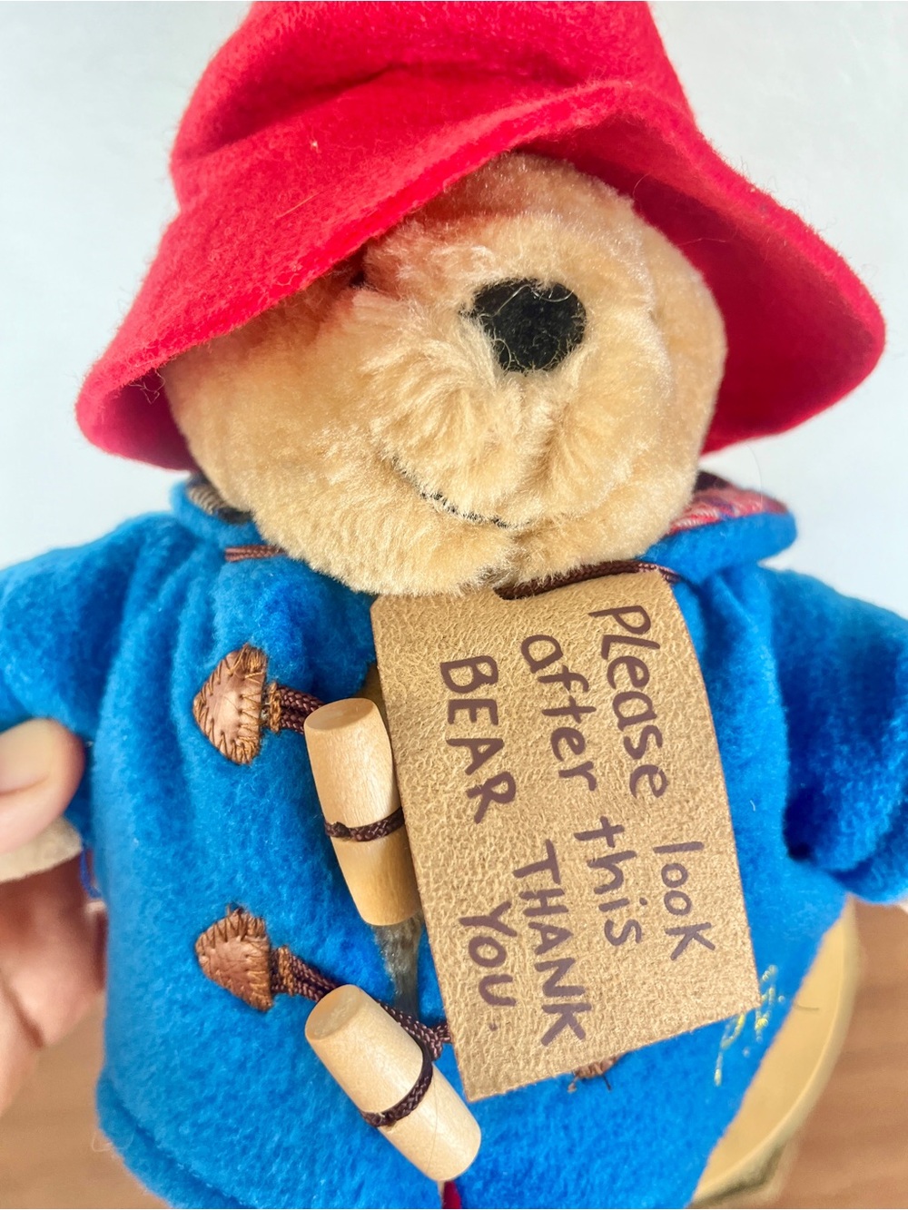 "Rainbow Designs Paddington Bear Plush 9"" Soft Toy Blue Coat Red Hat 2025" - Picture 10 of 10